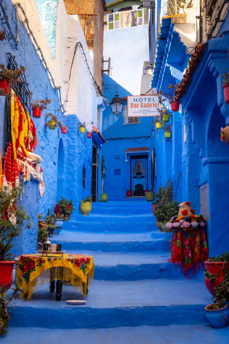 Blue-washed alley in Chefchaouen with painted steps, potted plants and colourful rugs hung outside a shop