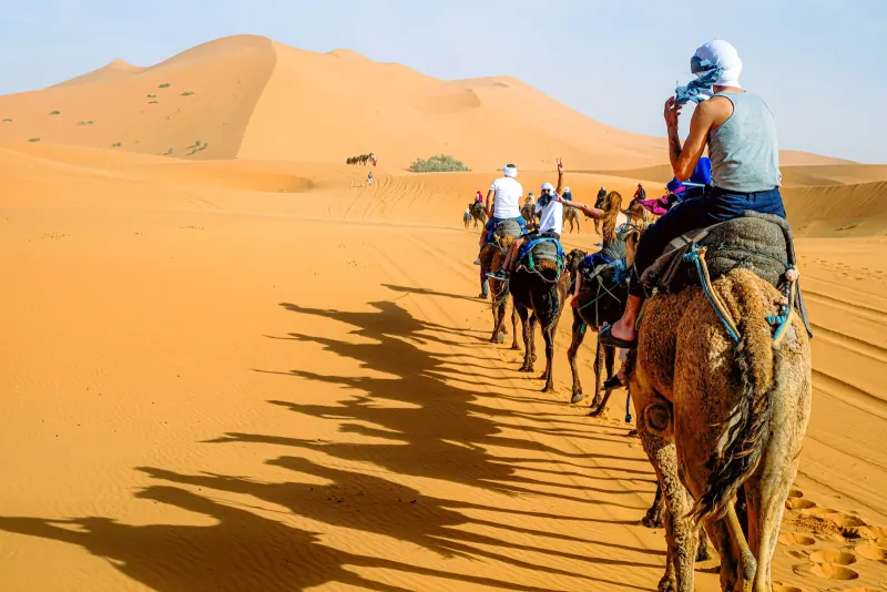 Camel caravan carrying travellers over the orange dunes of Erg Chebbi near Merzouga